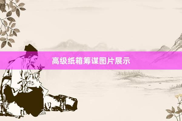 高级纸箱筹谋图片展示