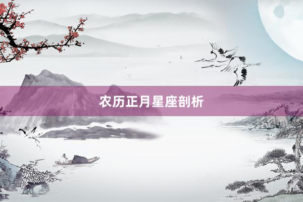 农历正月星座剖析